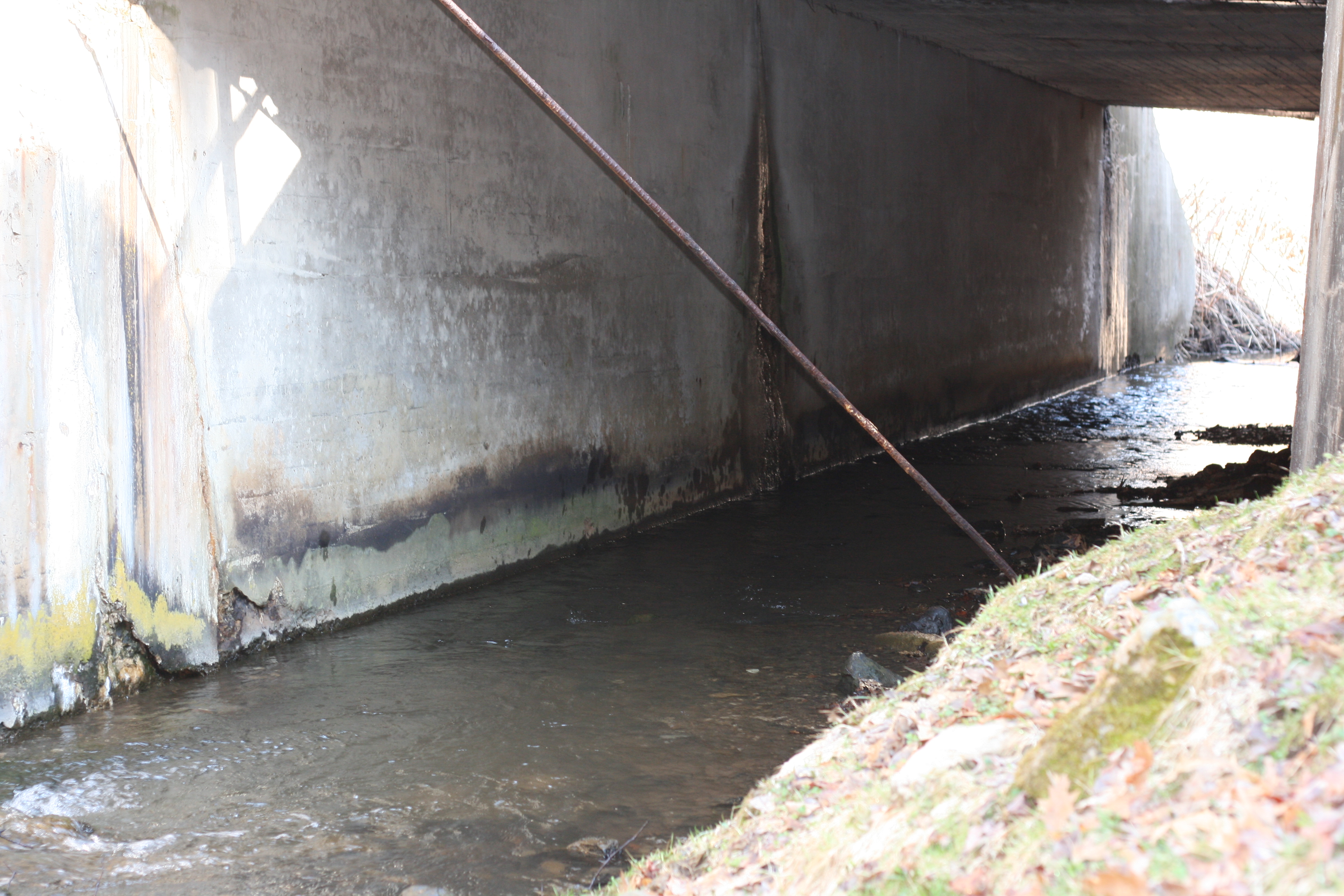 Field photo showing stream conditions at site YOUG-123-A-2009-1