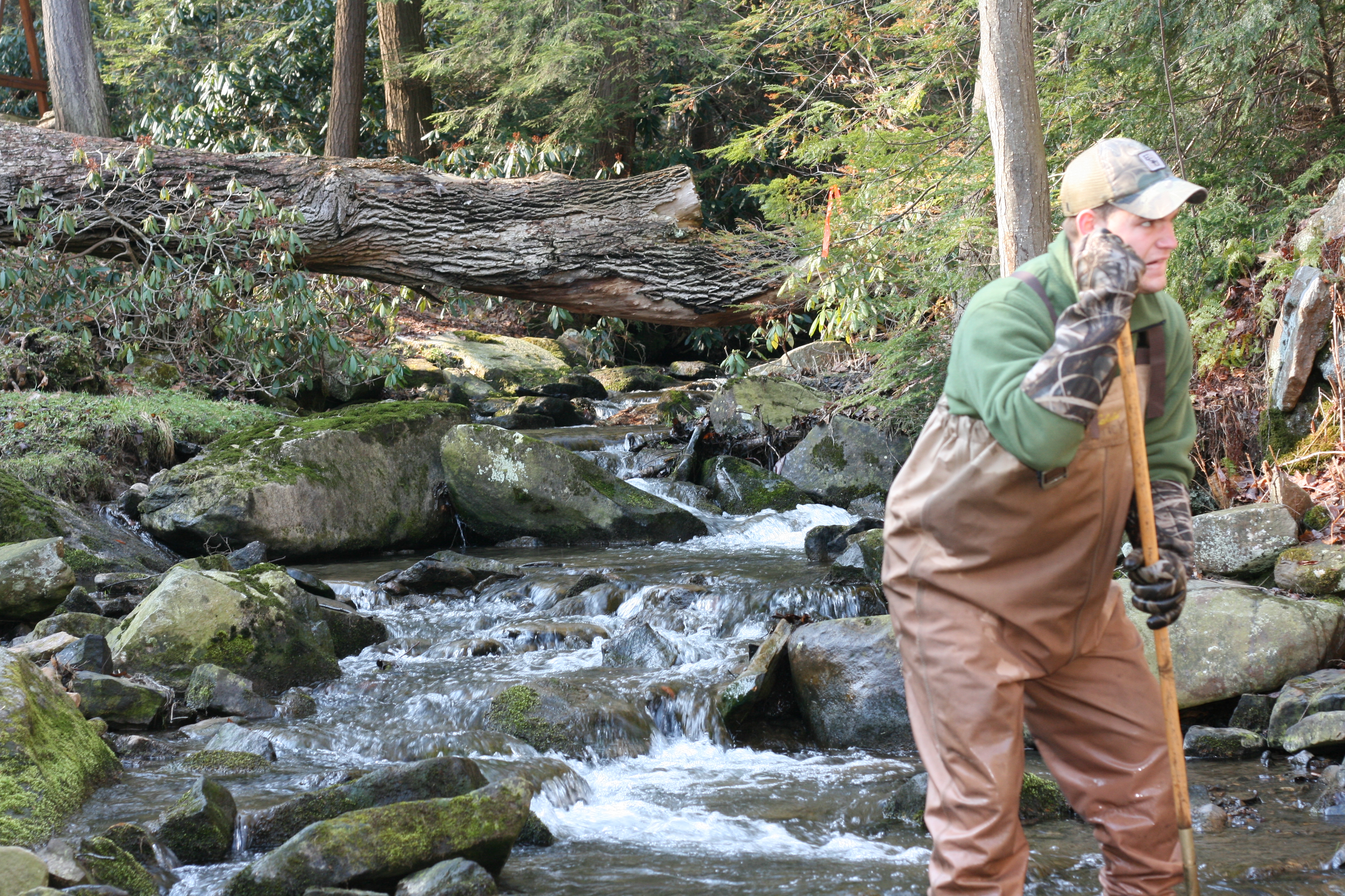 Field photo showing stream conditions at site YOUG-123-A-2009-2