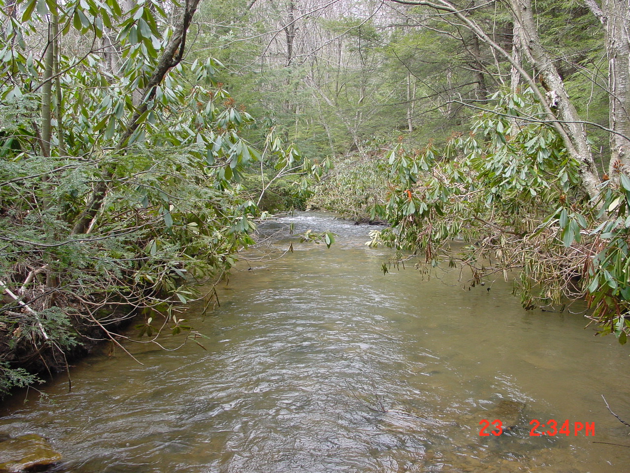 Field photo showing stream conditions at site YOUG-123-R-2001-1
