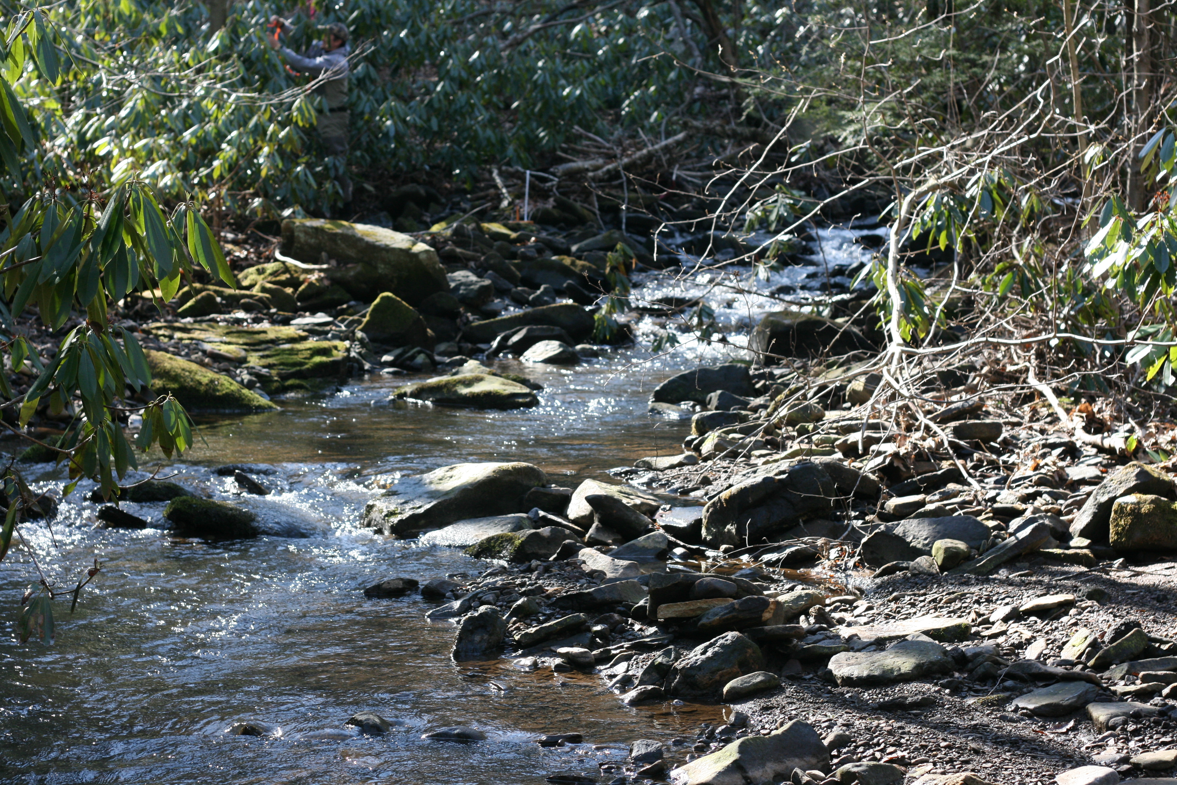 Field photo showing stream conditions at site YOUG-124-A-2009-2