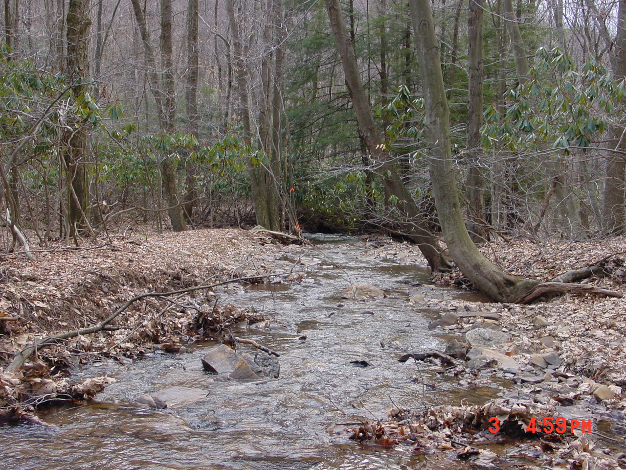 Field photo showing stream conditions at site YOUG-127-R-2001-1