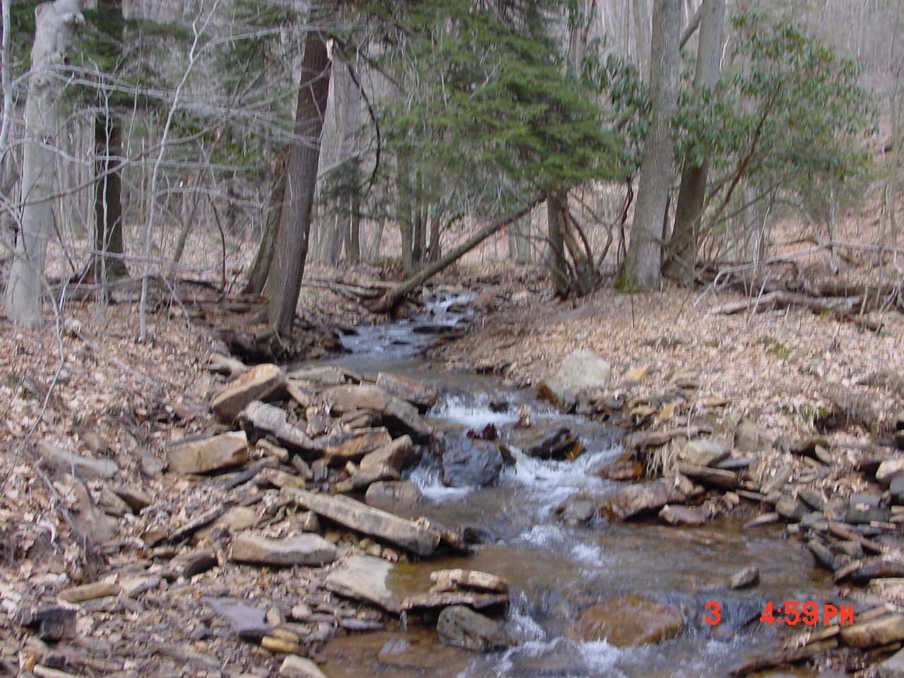 Field photo showing stream conditions at site YOUG-127-R-2001-2