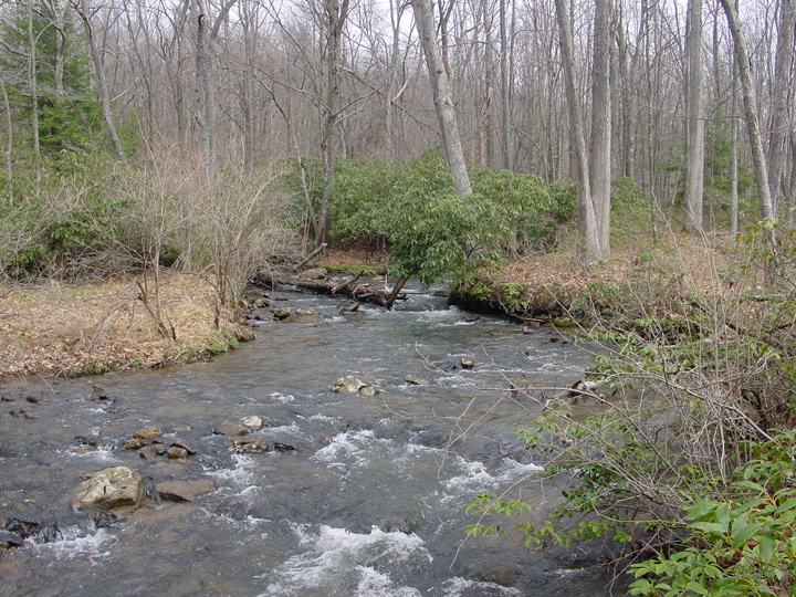 Field photo showing stream conditions at site YOUG-201-R-2007-1