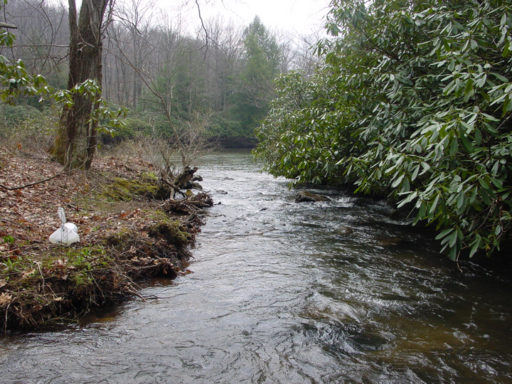 Field photo showing stream conditions at site YOUG-201-R-2007-2
