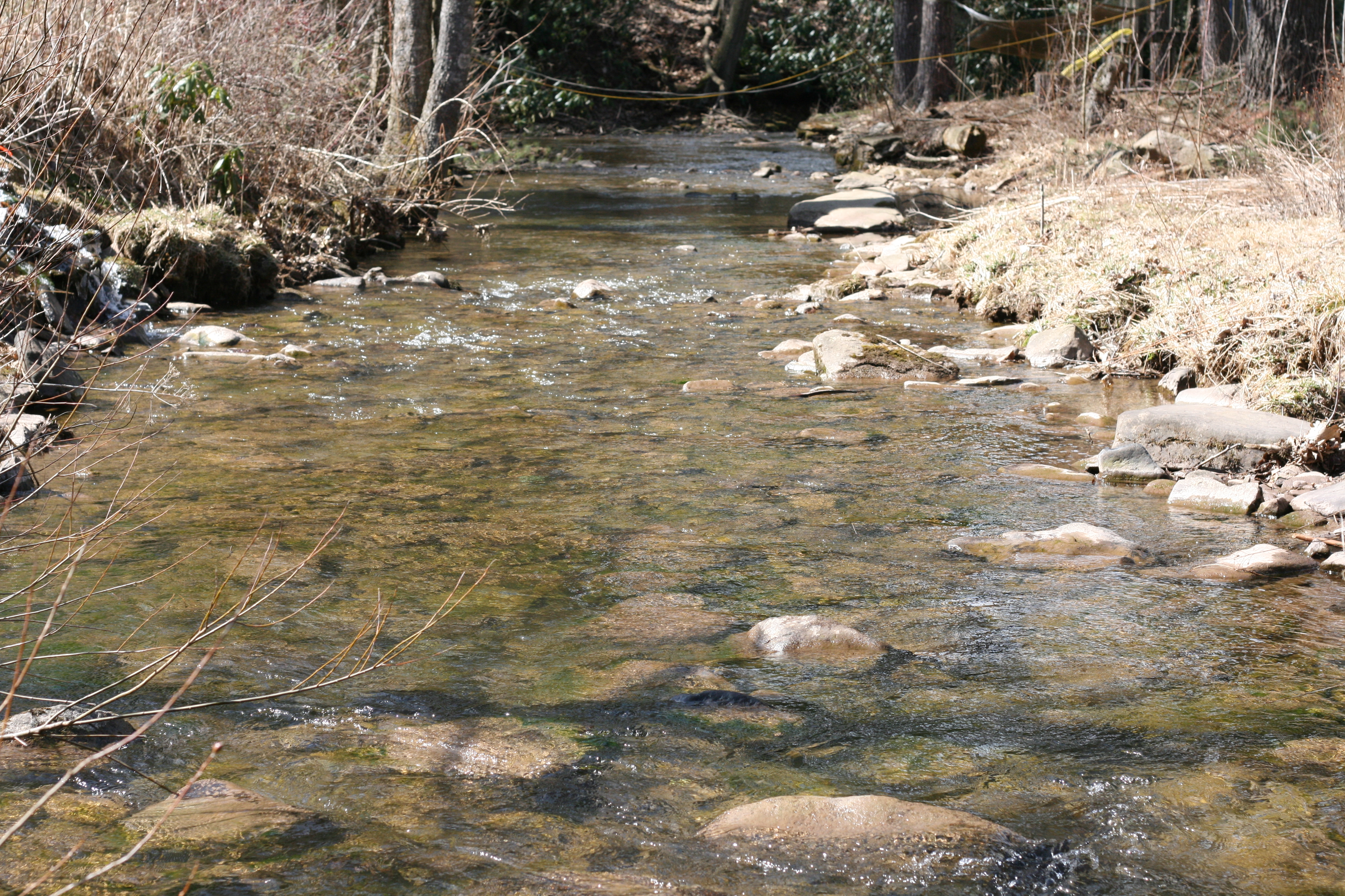 Field photo showing stream conditions at site YOUG-202-A-2009-1