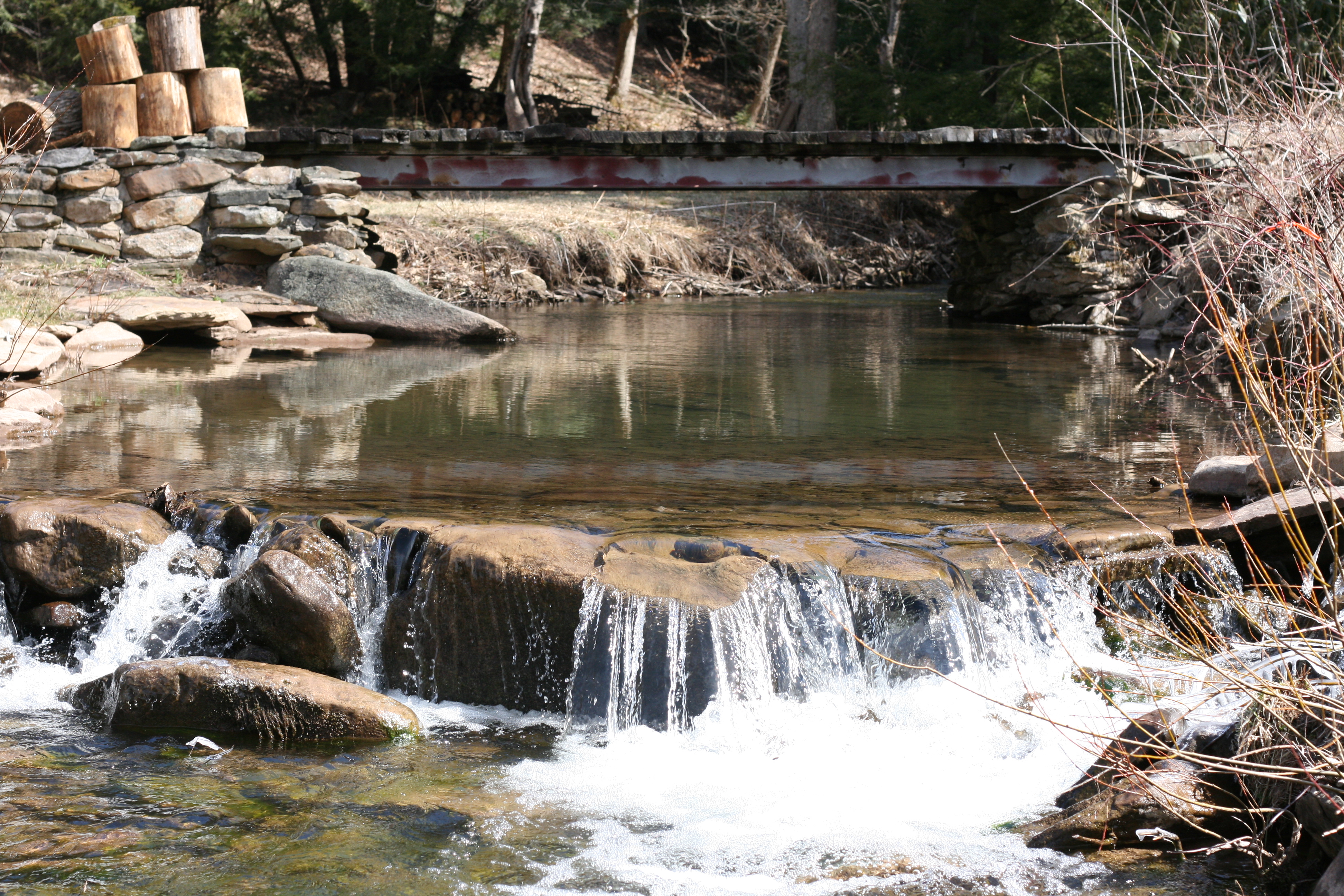 Field photo showing stream conditions at site YOUG-202-A-2009-2
