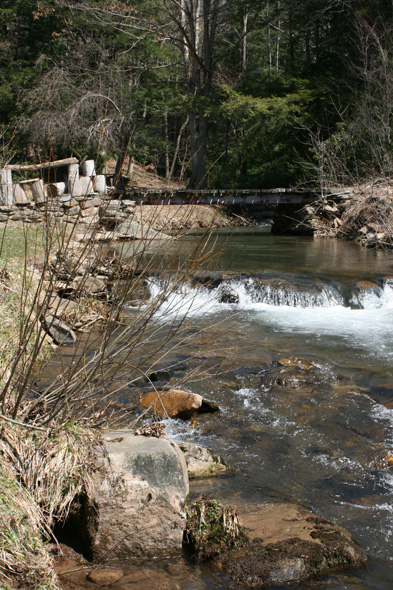 Field photo showing stream conditions at site YOUG-202-A-2010-1