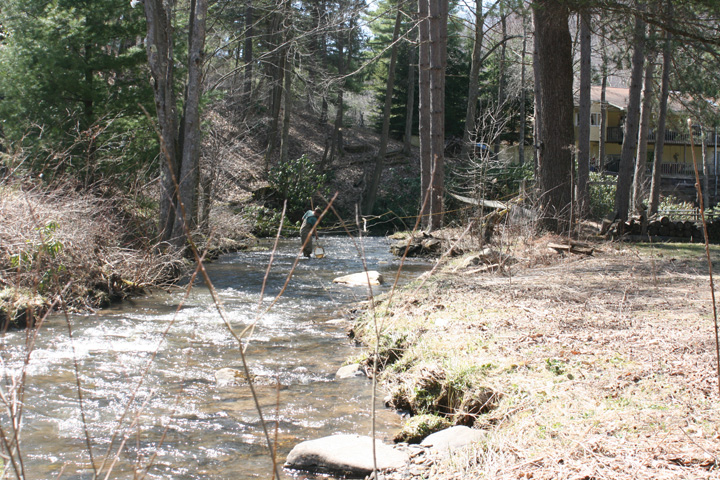 Field photo showing stream conditions at site YOUG-202-A-2010-2
