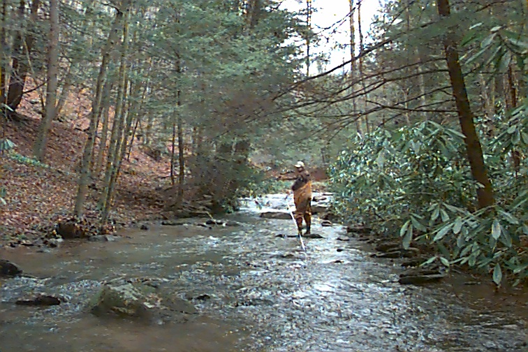 Field photo showing stream conditions at site YOUG-202-C-2000-01
