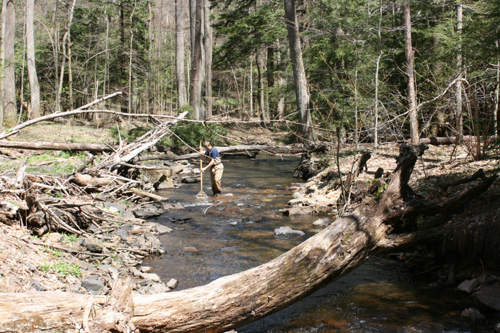 Field photo showing stream conditions at site YOUG-203-A-2010-2