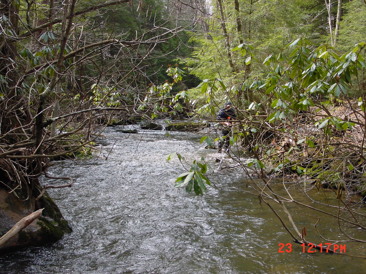 Field photo showing stream conditions at site YOUG-208-R-2001-2