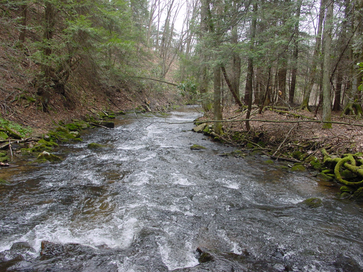 Field photo showing stream conditions at site YOUG-208-R-2007-1