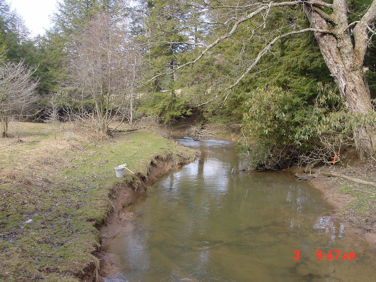 Field photo showing stream conditions at site YOUG-214-R-2001-1