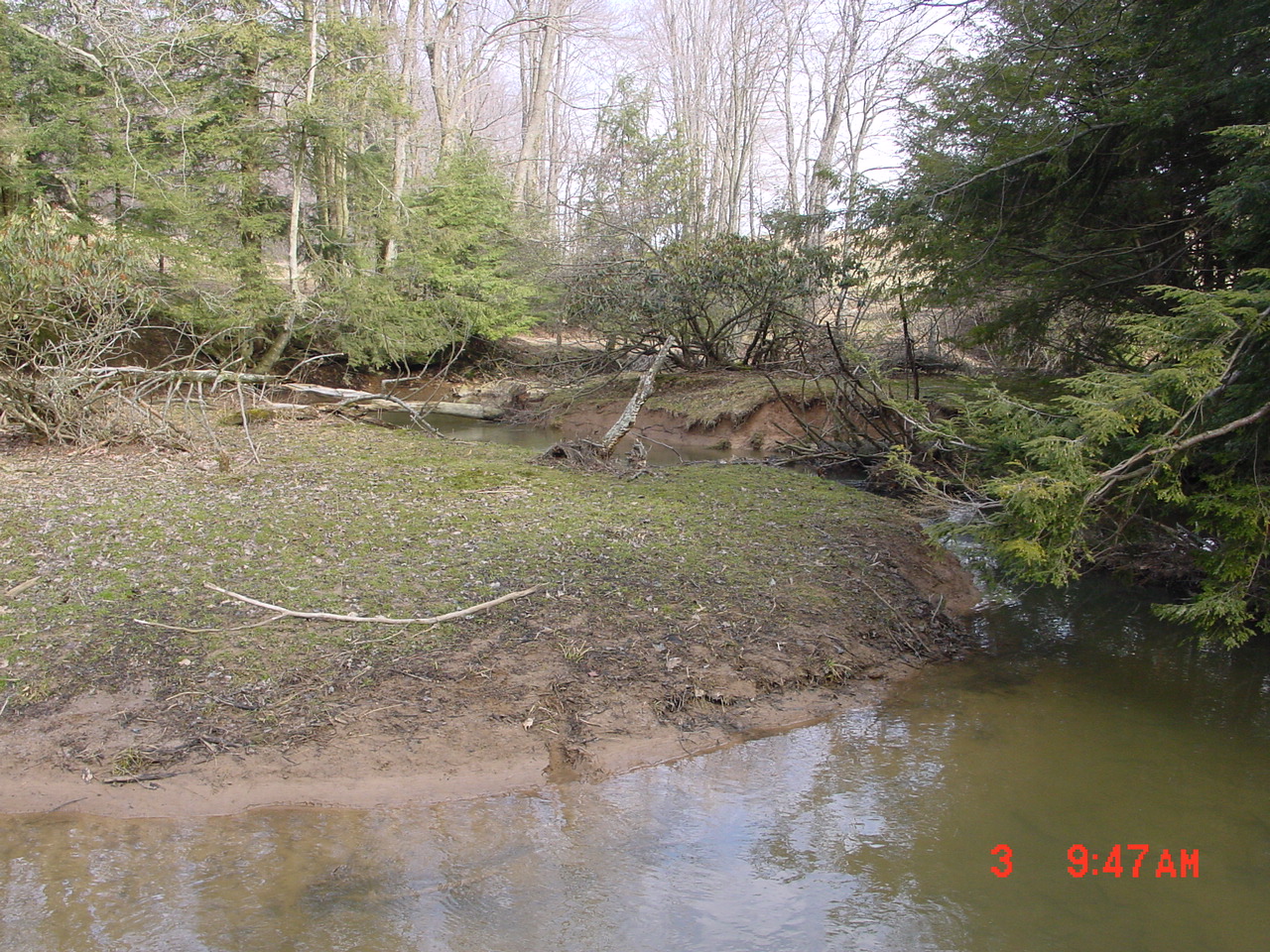 Field photo showing stream conditions at site YOUG-214-R-2001-2