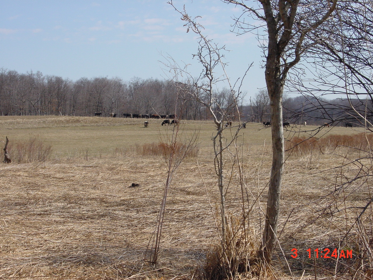 Field photo showing stream conditions at site YOUG-219-R-2001-1