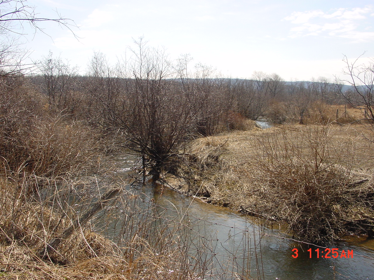 Field photo showing stream conditions at site YOUG-219-R-2001-2