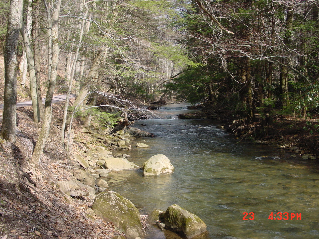 Field photo showing stream conditions at site YOUG-221-R-2001-1