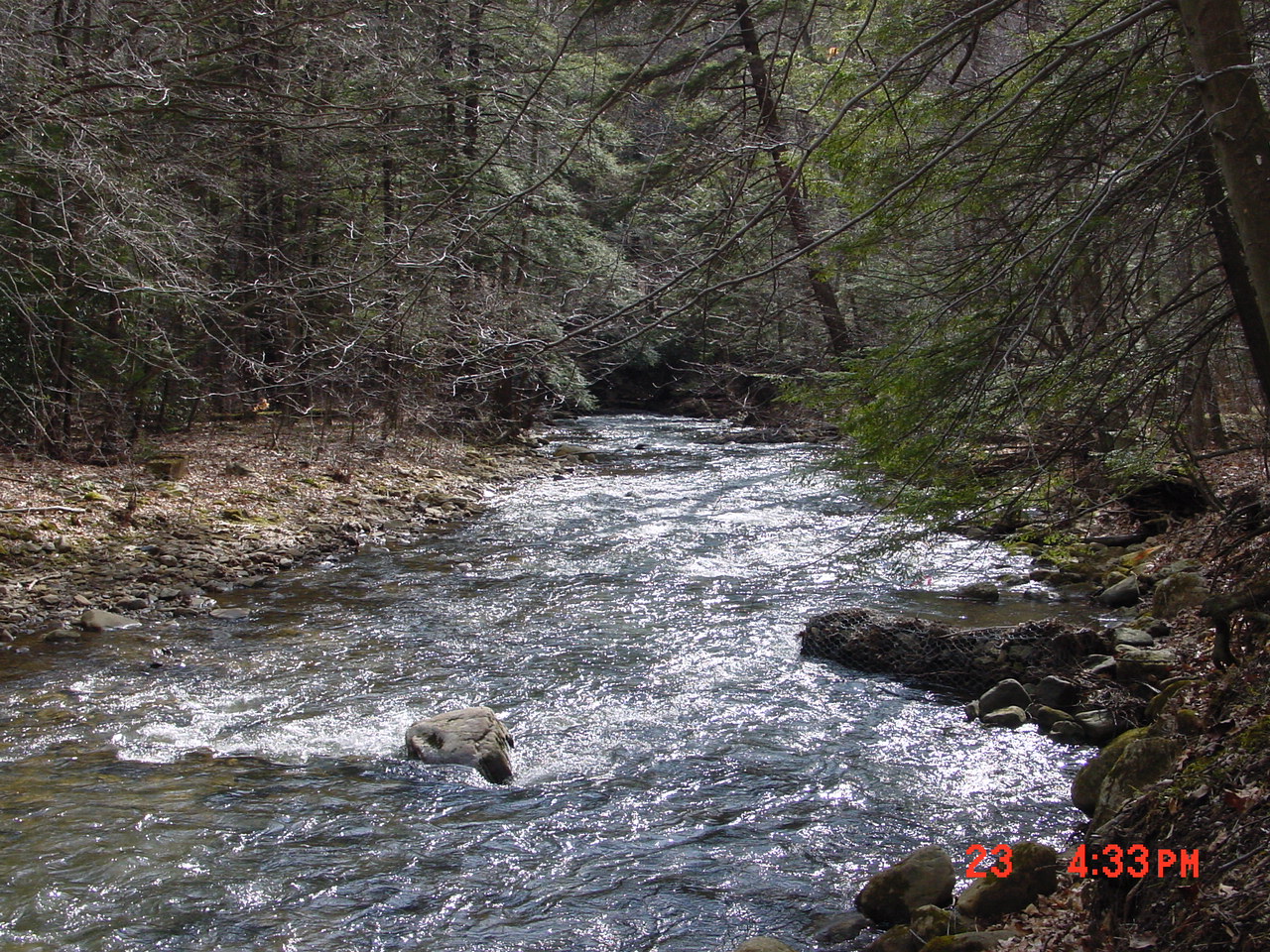 Field photo showing stream conditions at site YOUG-221-R-2001-2