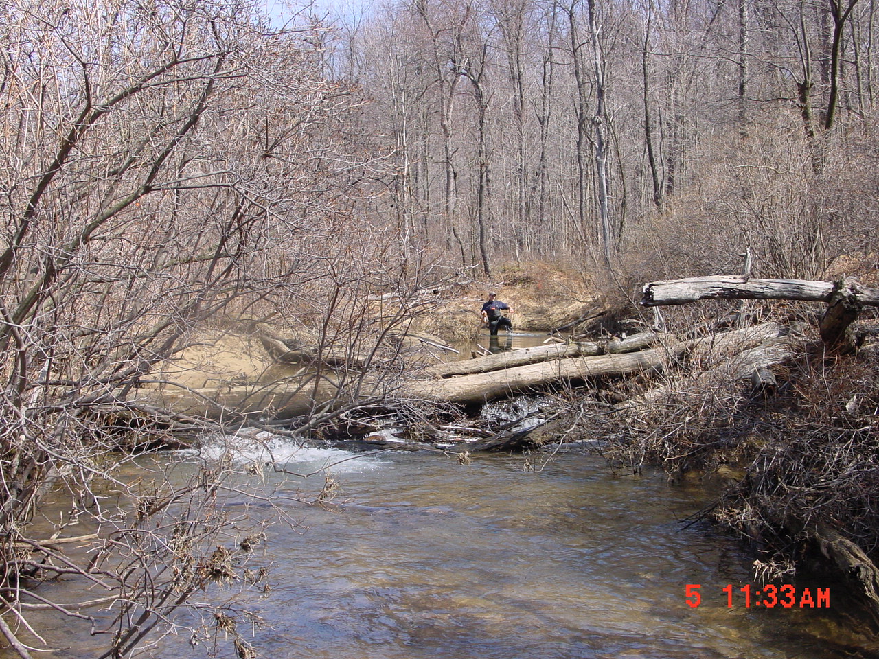 Field photo showing stream conditions at site YOUG-231-R-2001-1