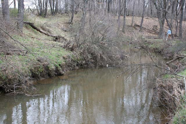 Field photo showing stream conditions at site YOUG-291-A-2012_Mid-pointDownstream
