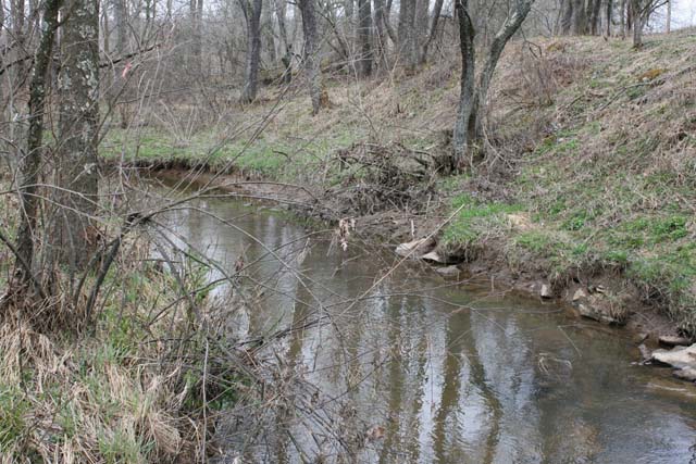 Field photo showing stream conditions at site YOUG-291-A-2012_Mid-pointUpstream