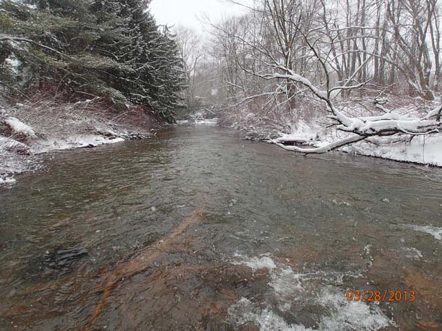 Field photo showing stream conditions at site YOUG-303-X-2013-50mDownstream