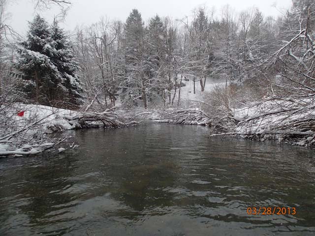 Field photo showing stream conditions at site YOUG-304-X-2013-MidpointDownstream