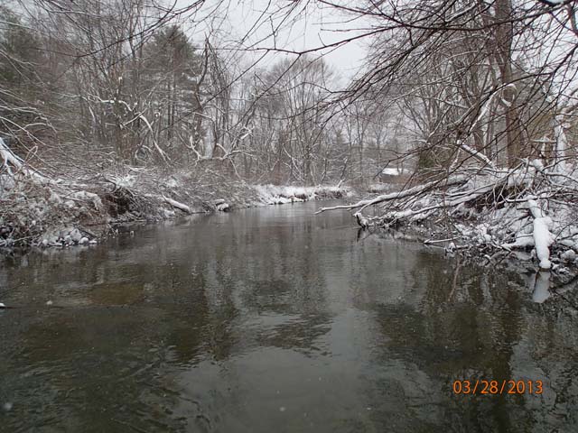 Field photo showing stream conditions at site YOUG-304-X-2013-MidpointUpstream