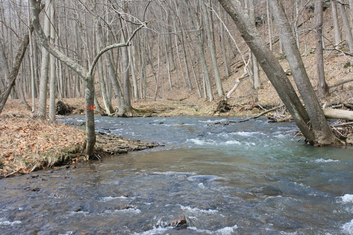 Field photo showing stream conditions at site YOUG-319-A-2011-1