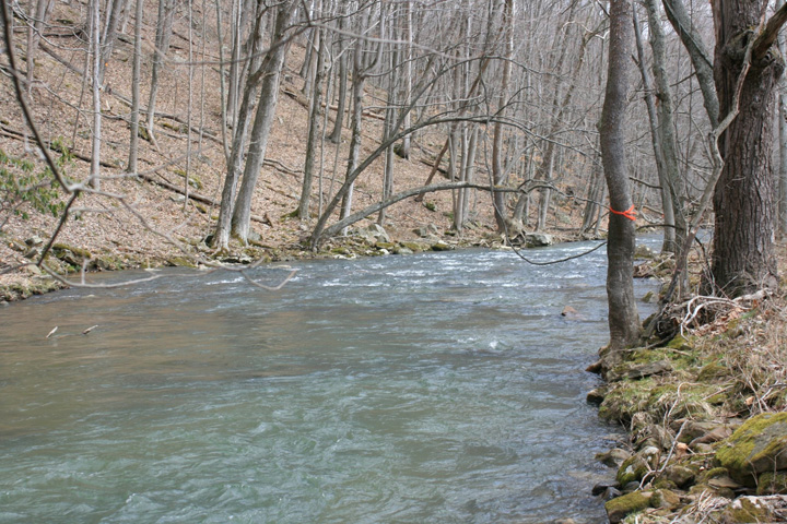 Field photo showing stream conditions at site YOUG-319-A-2011-2