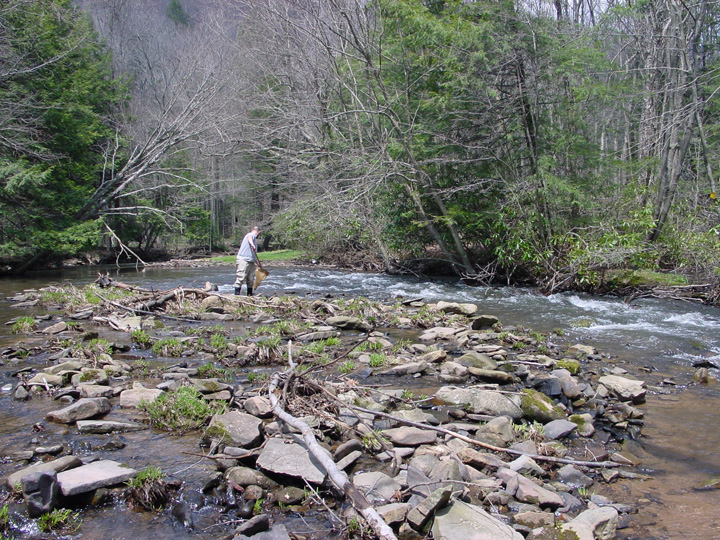 Field photo showing stream conditions at site YOUG-340-A-2007-1