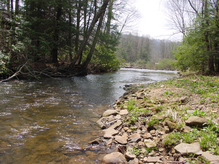 Field photo showing stream conditions at site YOUG-340-A-2007-2