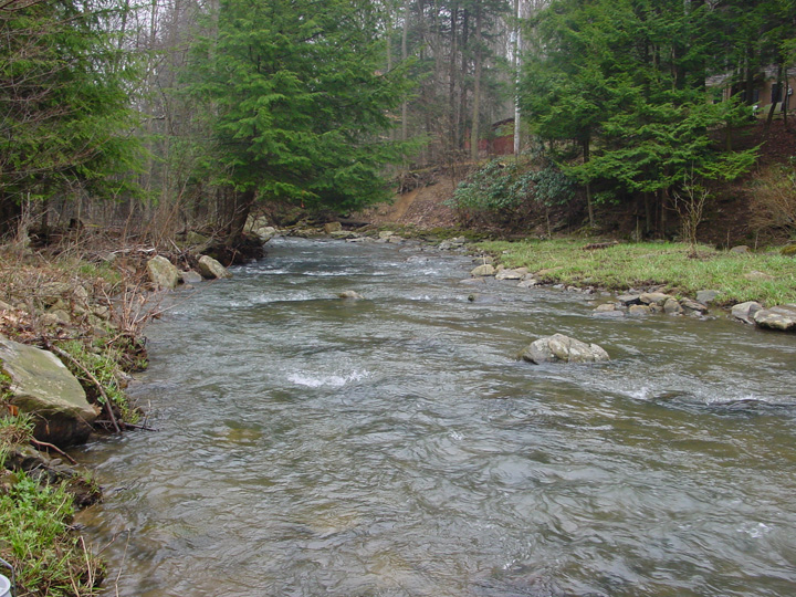 Field photo showing stream conditions at site YOUG-345-A-2007-1