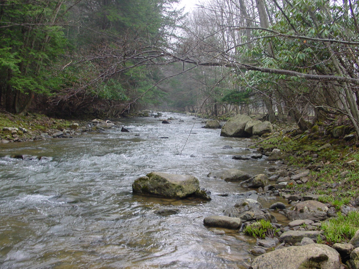 Field photo showing stream conditions at site YOUG-345-A-2007-2