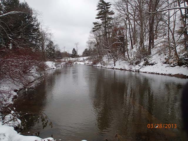 Field photo showing stream conditions at site YOUG-401-X-2013-25mUpstream