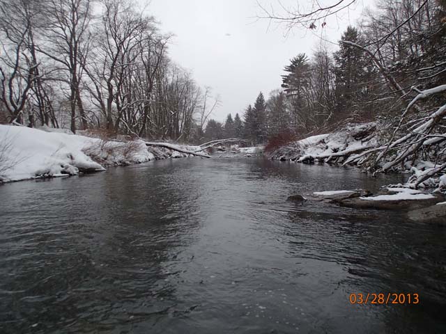 Field photo showing stream conditions at site YOUG-402-X-2013-25mDownstream