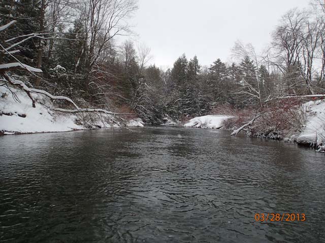 Field photo showing stream conditions at site YOUG-402-X-2013-25mUpstream