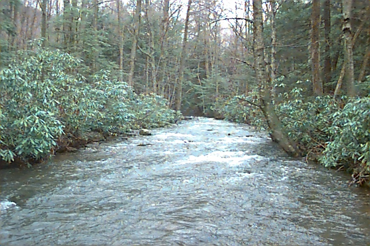 Field photo showing stream conditions at site YOUG-432-S-2000-01
