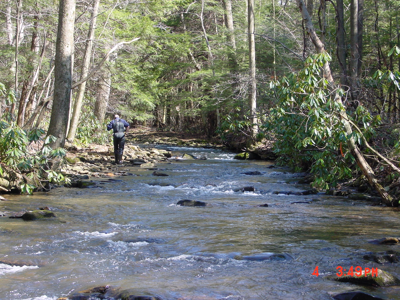 Field photo showing stream conditions at site YOUG-432-S-2001-1