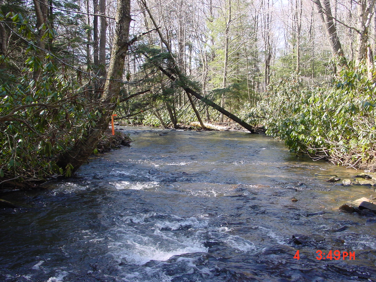 Field photo showing stream conditions at site YOUG-432-S-2001-2