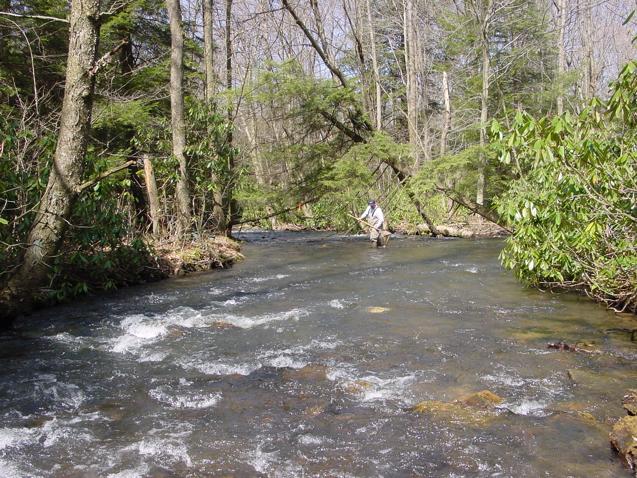 Field photo showing stream conditions at site YOUG-432-S-2002-2