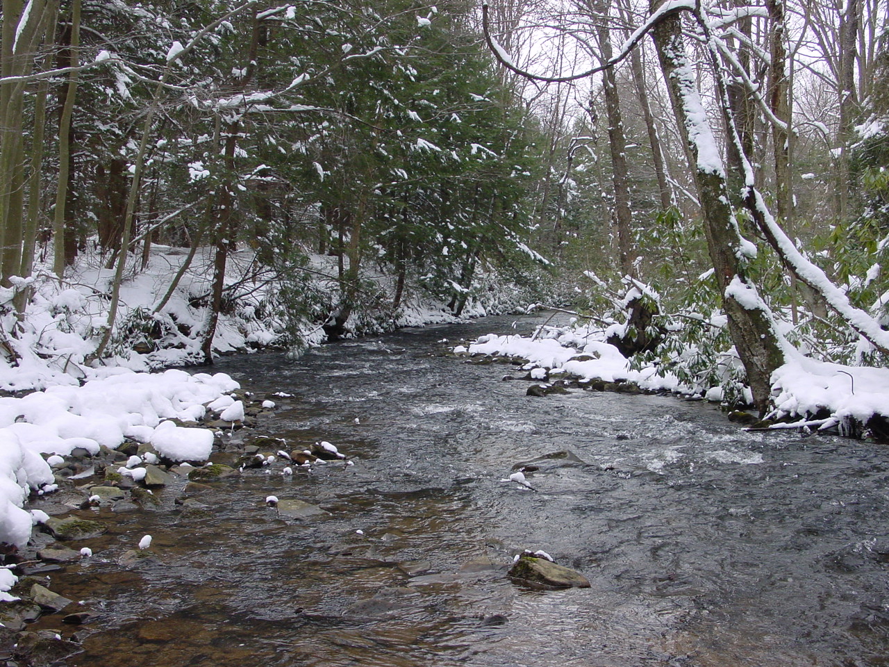 Field photo showing stream conditions at site YOUG-432-S-2003-1