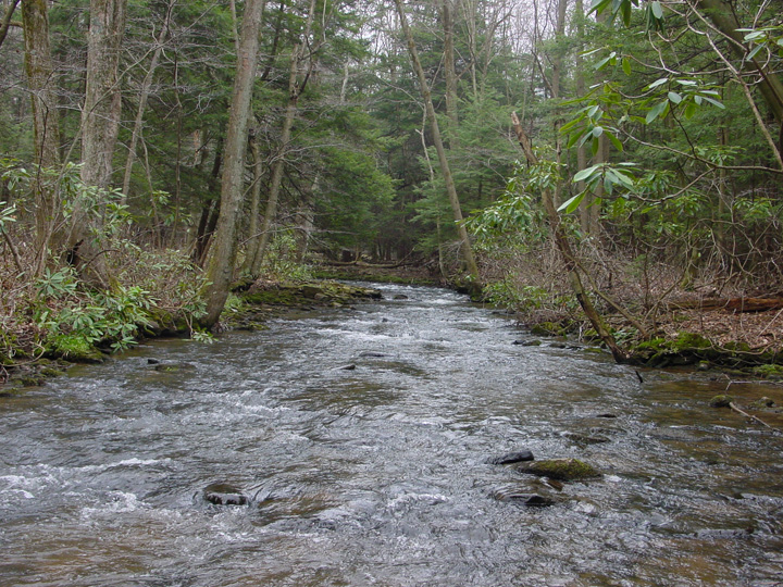 Field photo showing stream conditions at site YOUG-432-S-2007-1