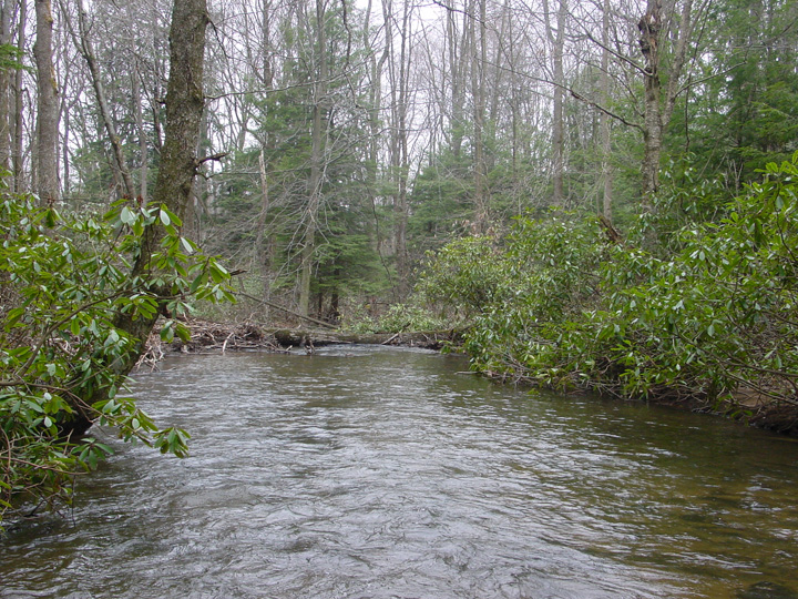 Field photo showing stream conditions at site YOUG-432-S-2007-2