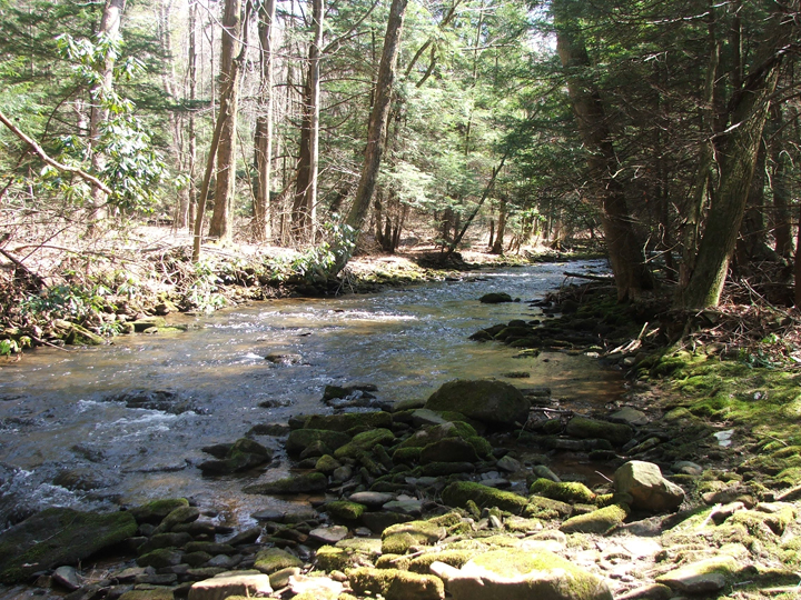 Field photo showing stream conditions at site YOUG-432-S-2008-1