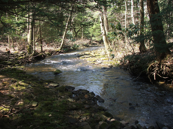 Field photo showing stream conditions at site YOUG-432-S-2008-2