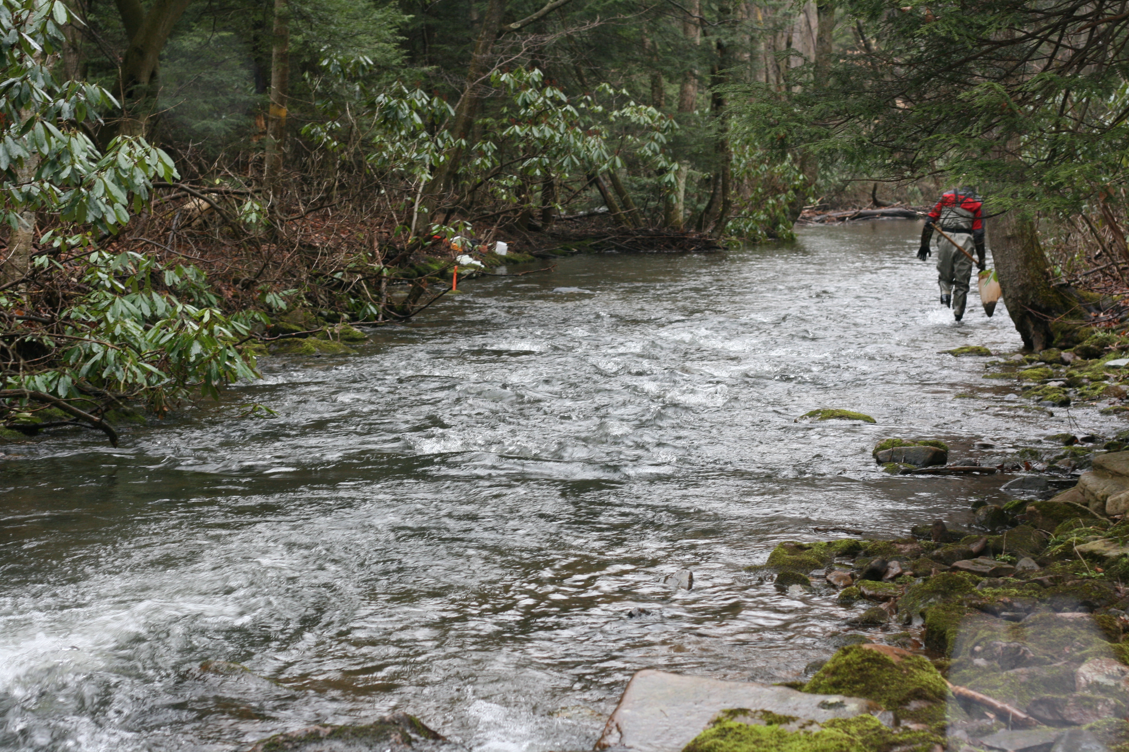 Field photo showing stream conditions at site YOUG-432-S-2009-1