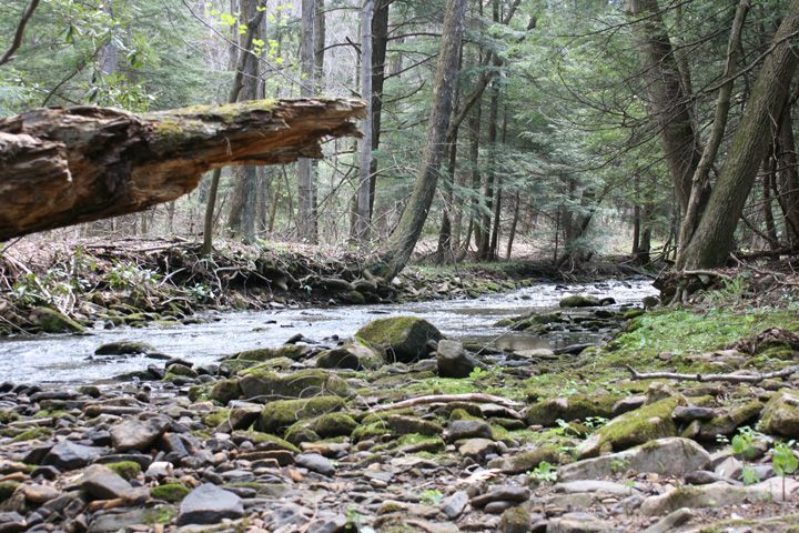 Field photo showing stream conditions at site YOUG-432-S-2010-1