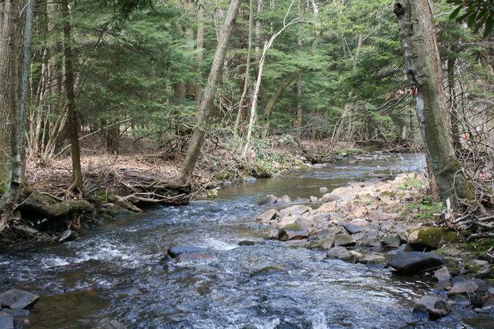 Field photo showing stream conditions at site YOUG-432-S-2010-2