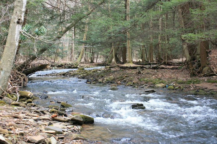 Field photo showing stream conditions at site YOUG-432-S-2011-1